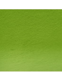 PROCOLOUR OLIVE GREEN 